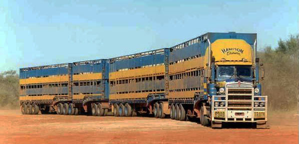 Carros de vista superior. transporte automático, teto de caminhão e carro  de transporte de veículo.