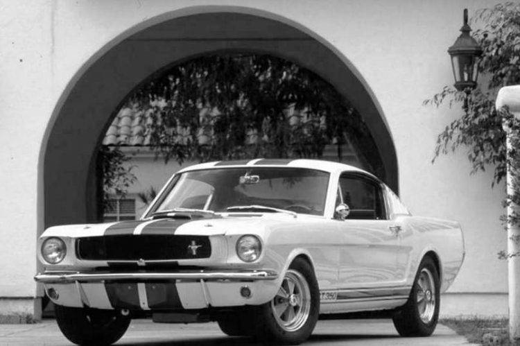 mustang gt 350