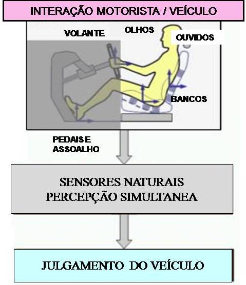 sensores naturais
