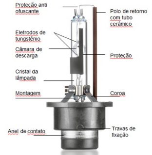 Imagem11