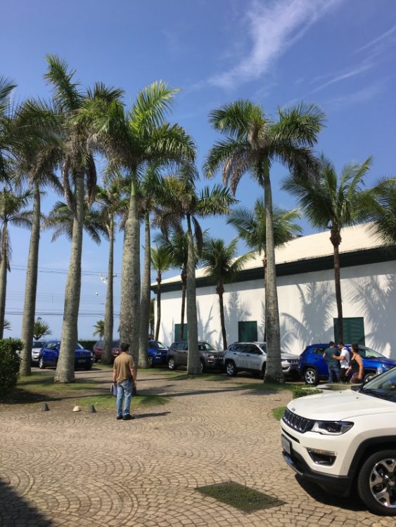 Carros alinhados para começar o Test-Drive no Guarujá - SP (foto: autor)